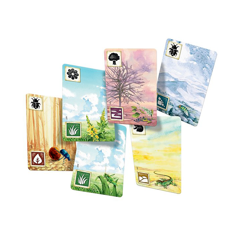 Asmodee Na louce