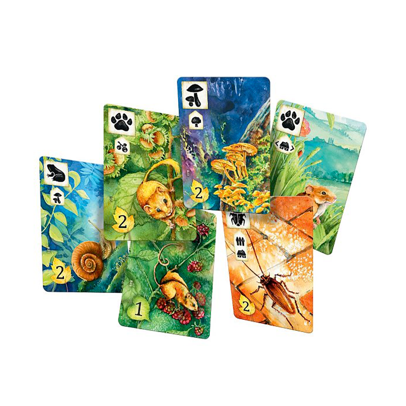 Asmodee Na louce