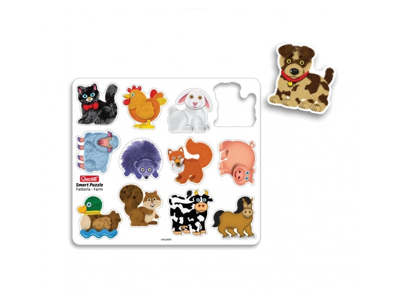 Smart Puzzle magnetico - Farma