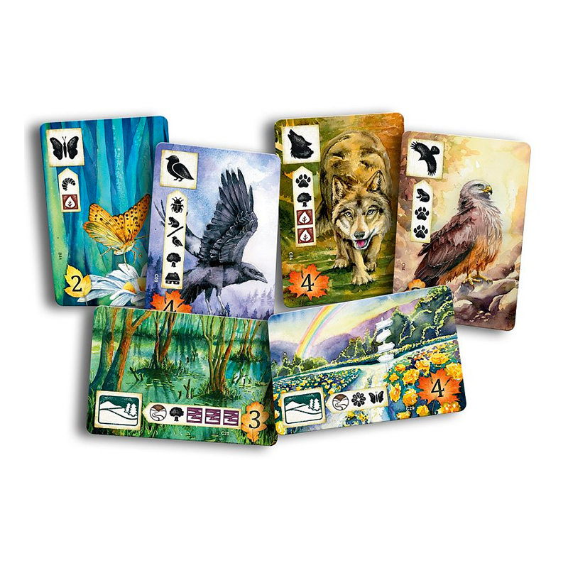 Asmodee Na louce
