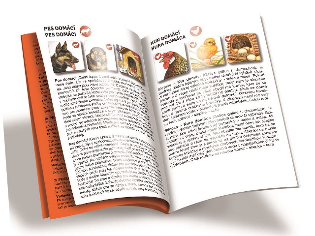 Efko PEXETRIO - ZVÍŘÁTKA NA STATKU